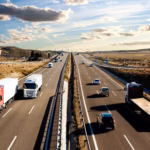 Kabina do transportu gołębi Allegro – Jak wybrać najlepszą opcję dla swoich ptaków?