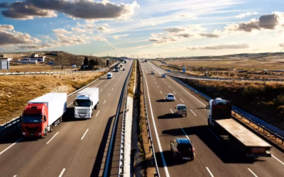 Kabina do transportu gołębi: Jak wybrać idealne rozwiązanie dla swoich ptaków